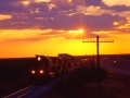 UP_Merkel_Sunset