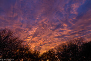 A Beautiful Sunset In The Backyard