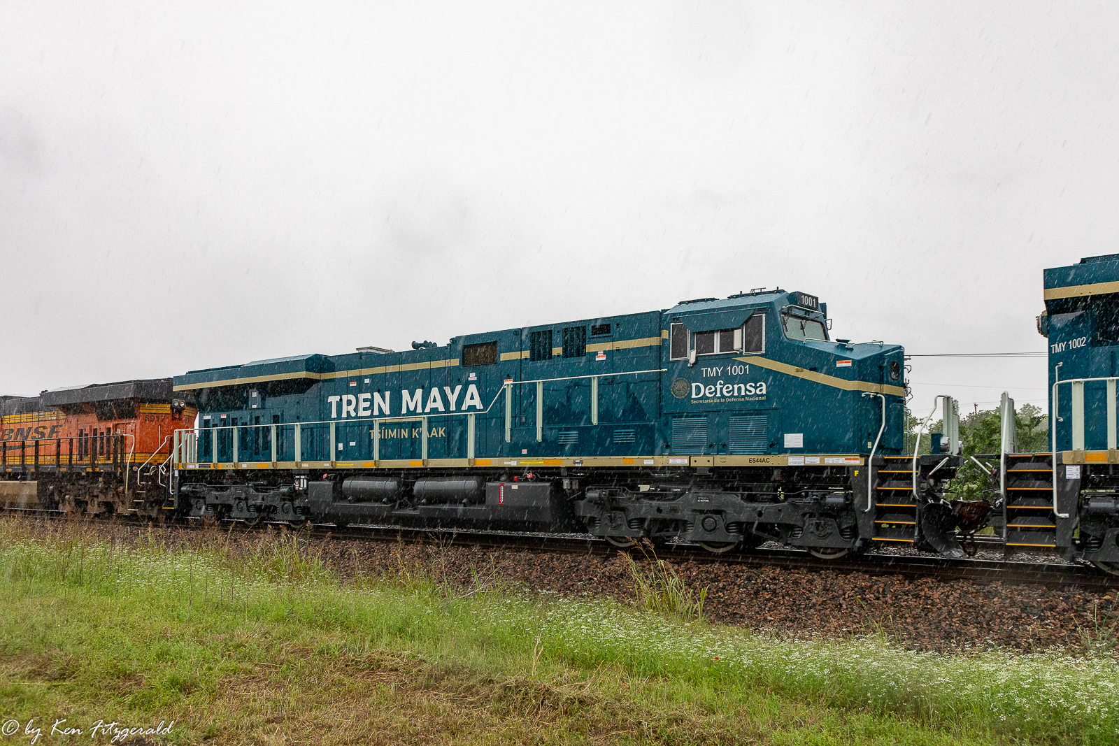 Tren Maya In The Rain
